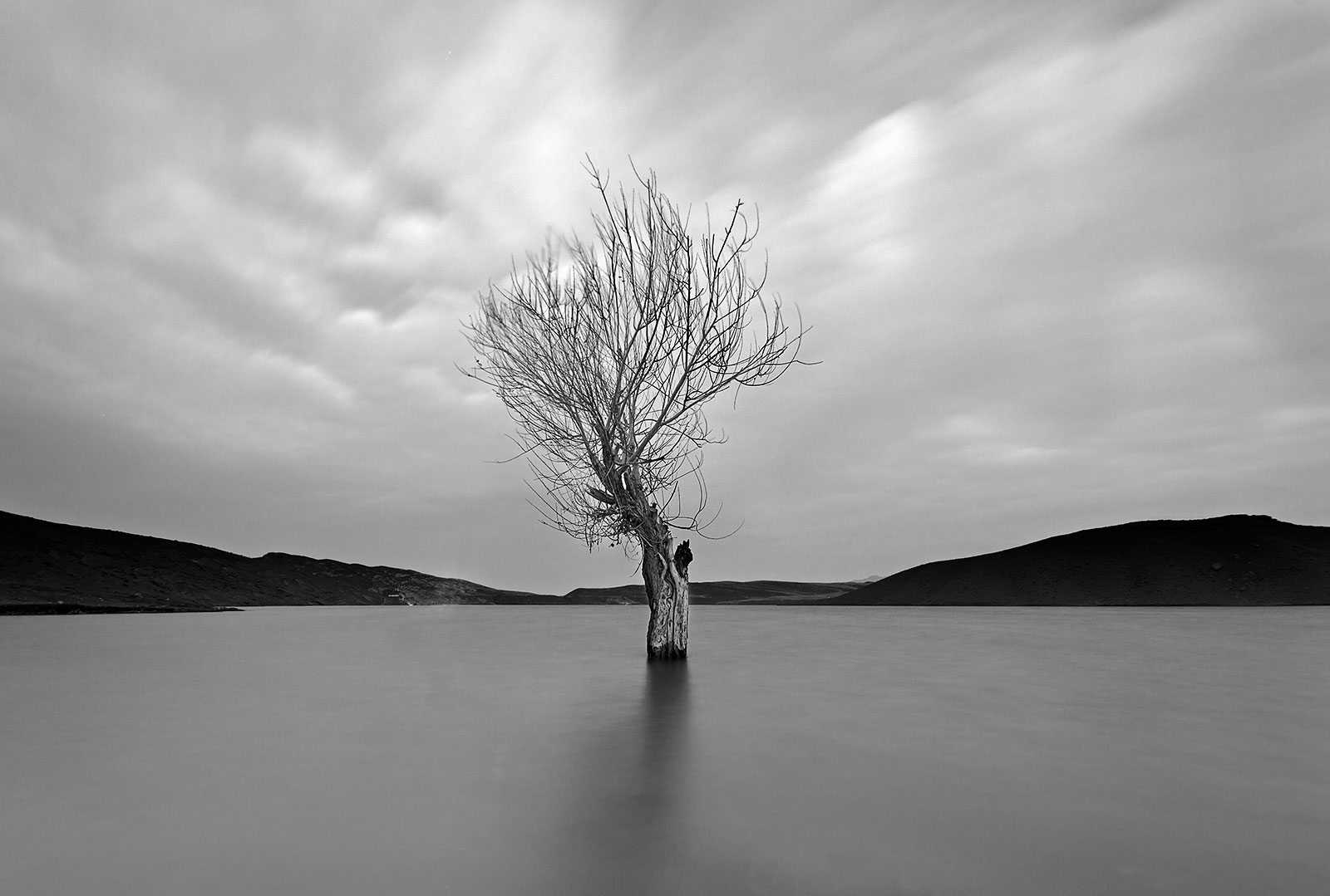 Show me the meaning of being lonely