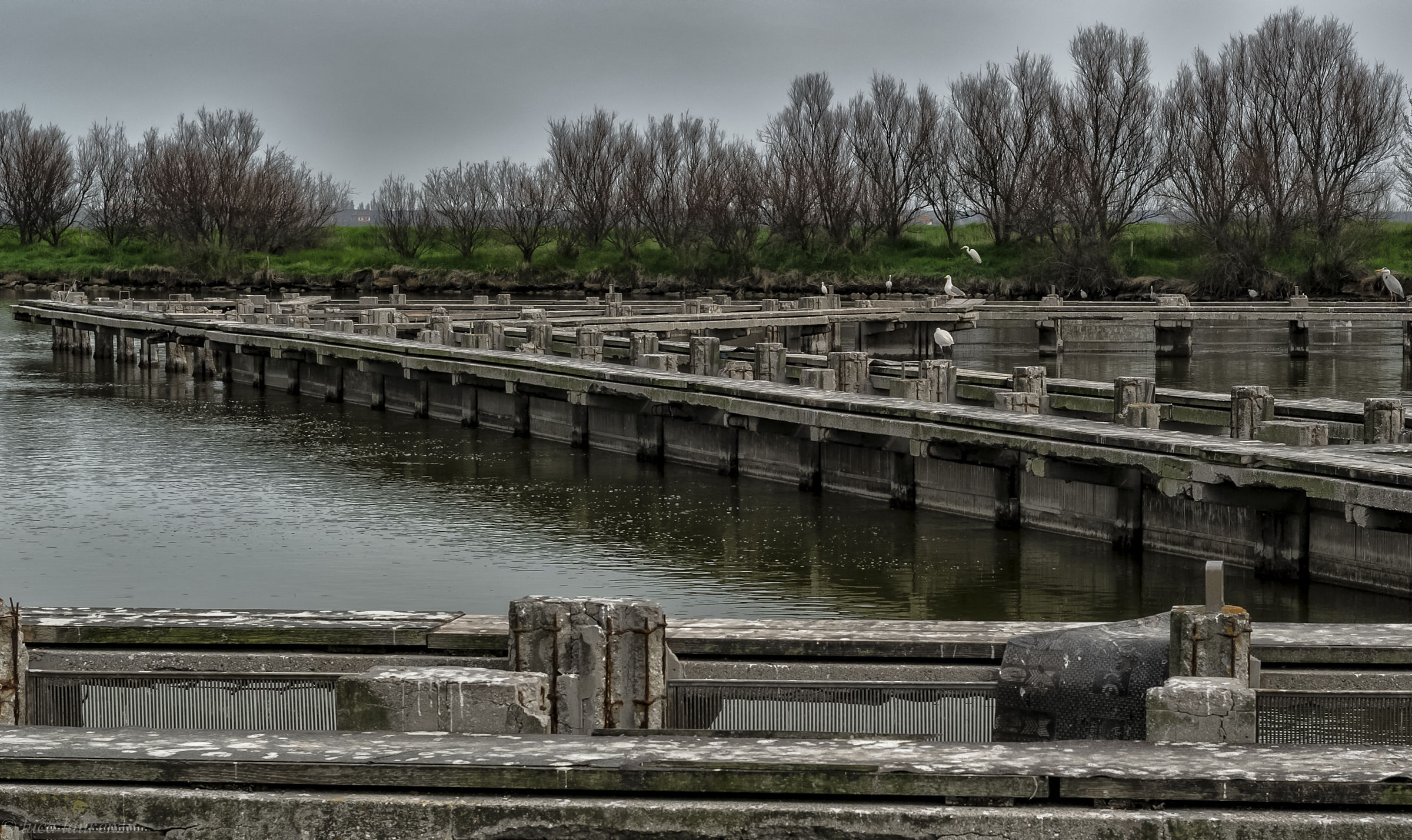 The valleys of Comacchio 2