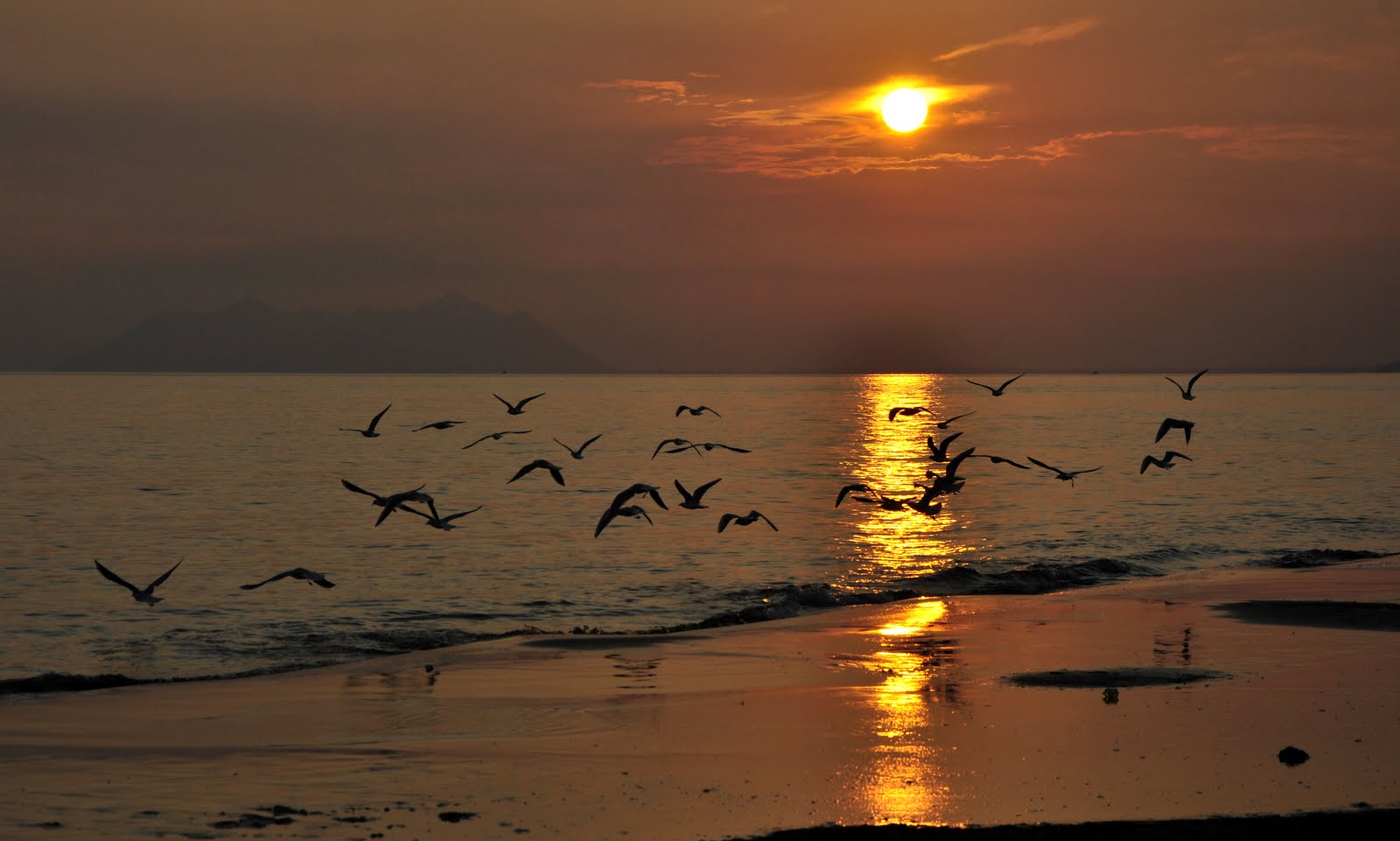 Come può uno scoglio, arginare il mare...