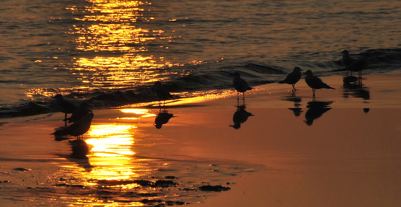 Quattro chiacchiere in riva al mare...