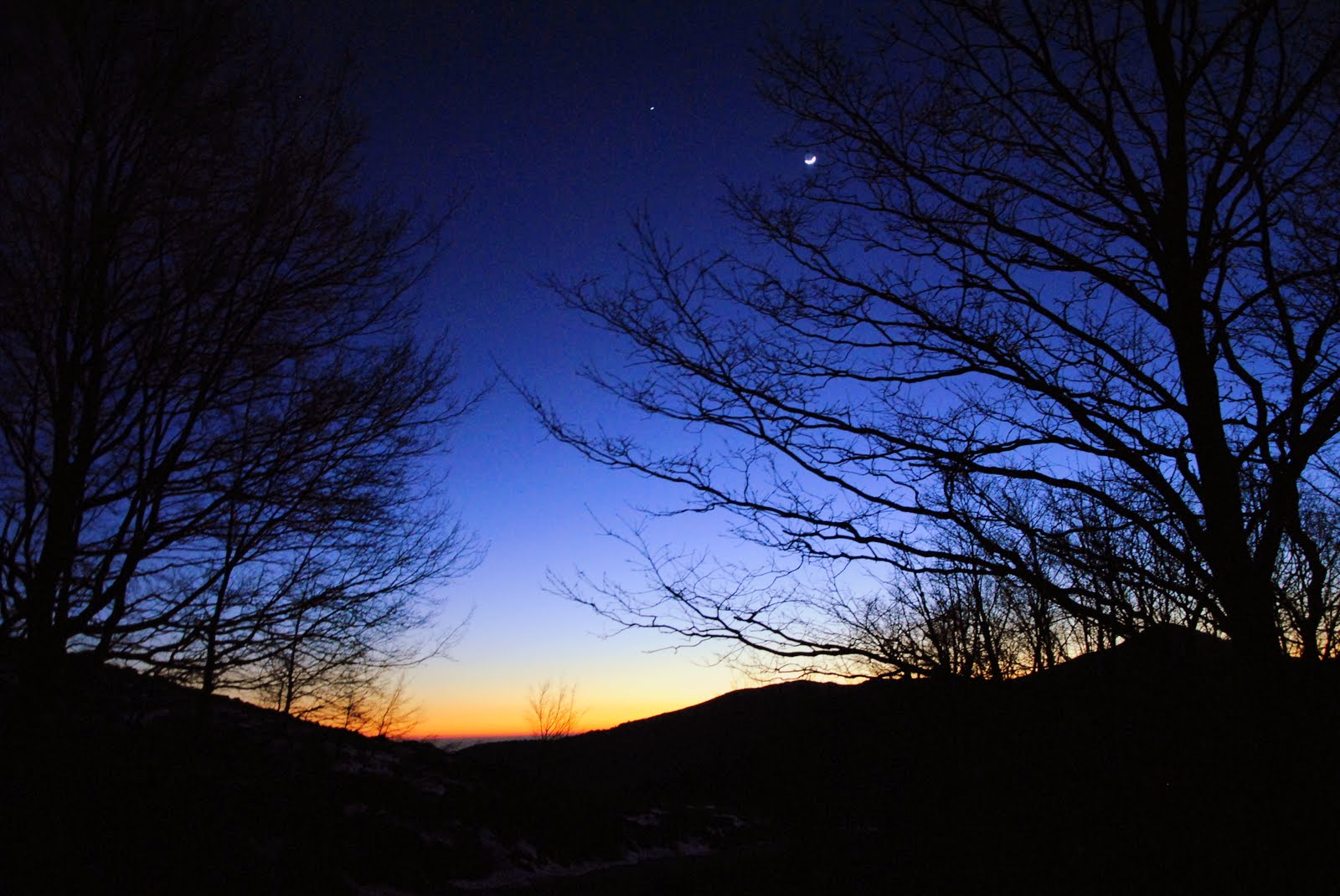 Il crepuscolo nel bosco...