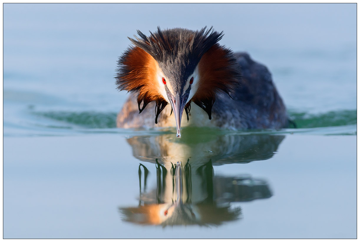 2017.03.25 Svasso Maggiore