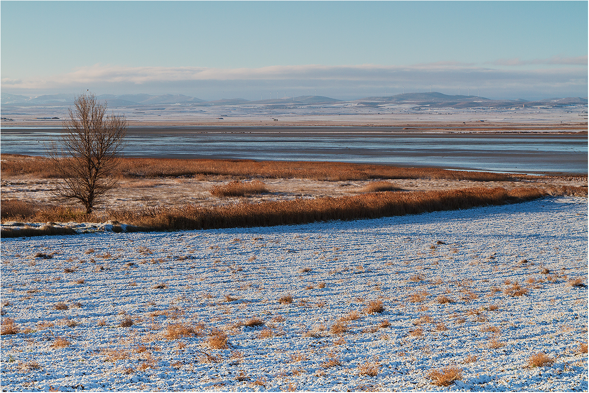 Laguna de Gallocanta