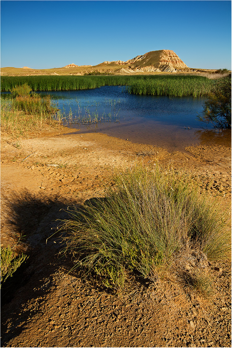 Reserva de las Bardenas (Huesca)