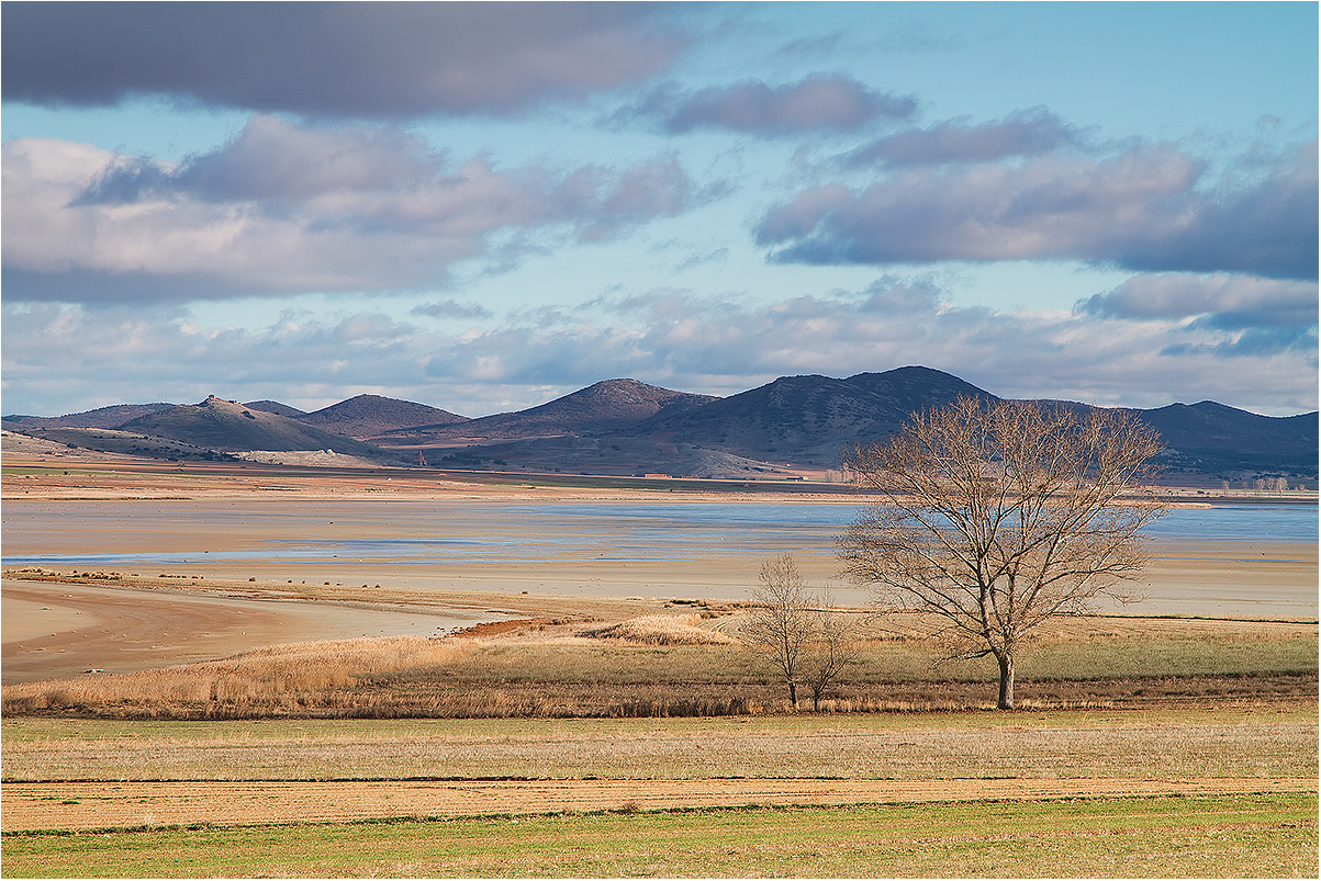 Laguna de Gallocanta