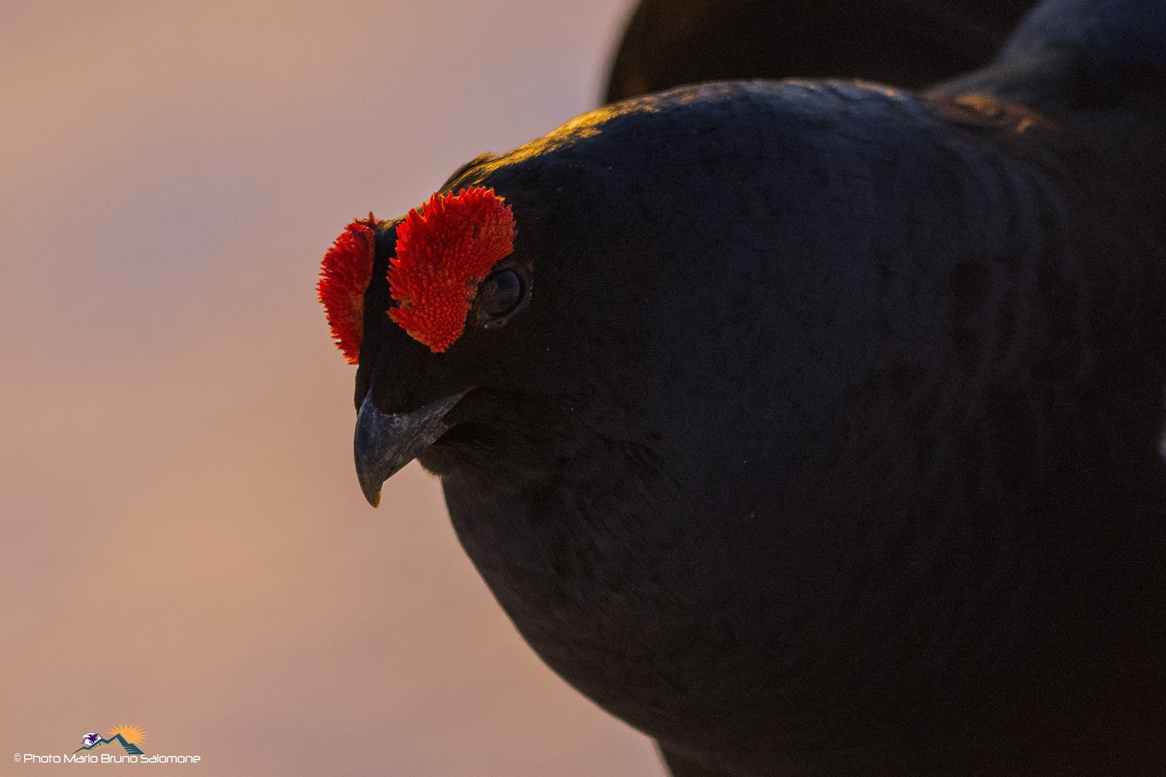 Looks, in the foreground.