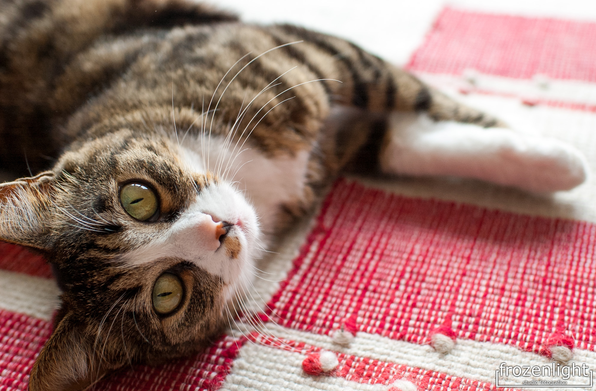 Lisa fotografata con la "nuova" fotocamera...