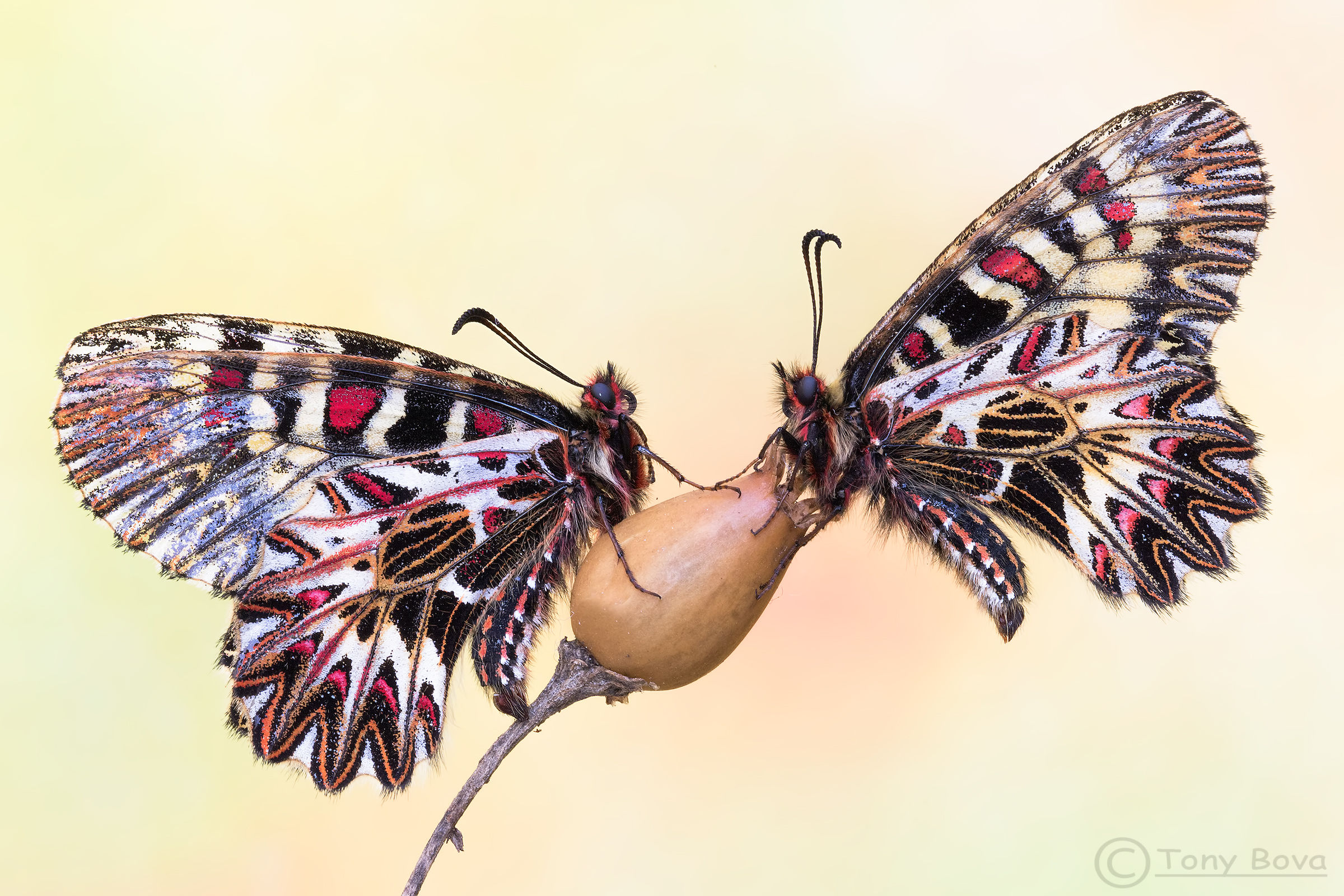 Two is better than one ...