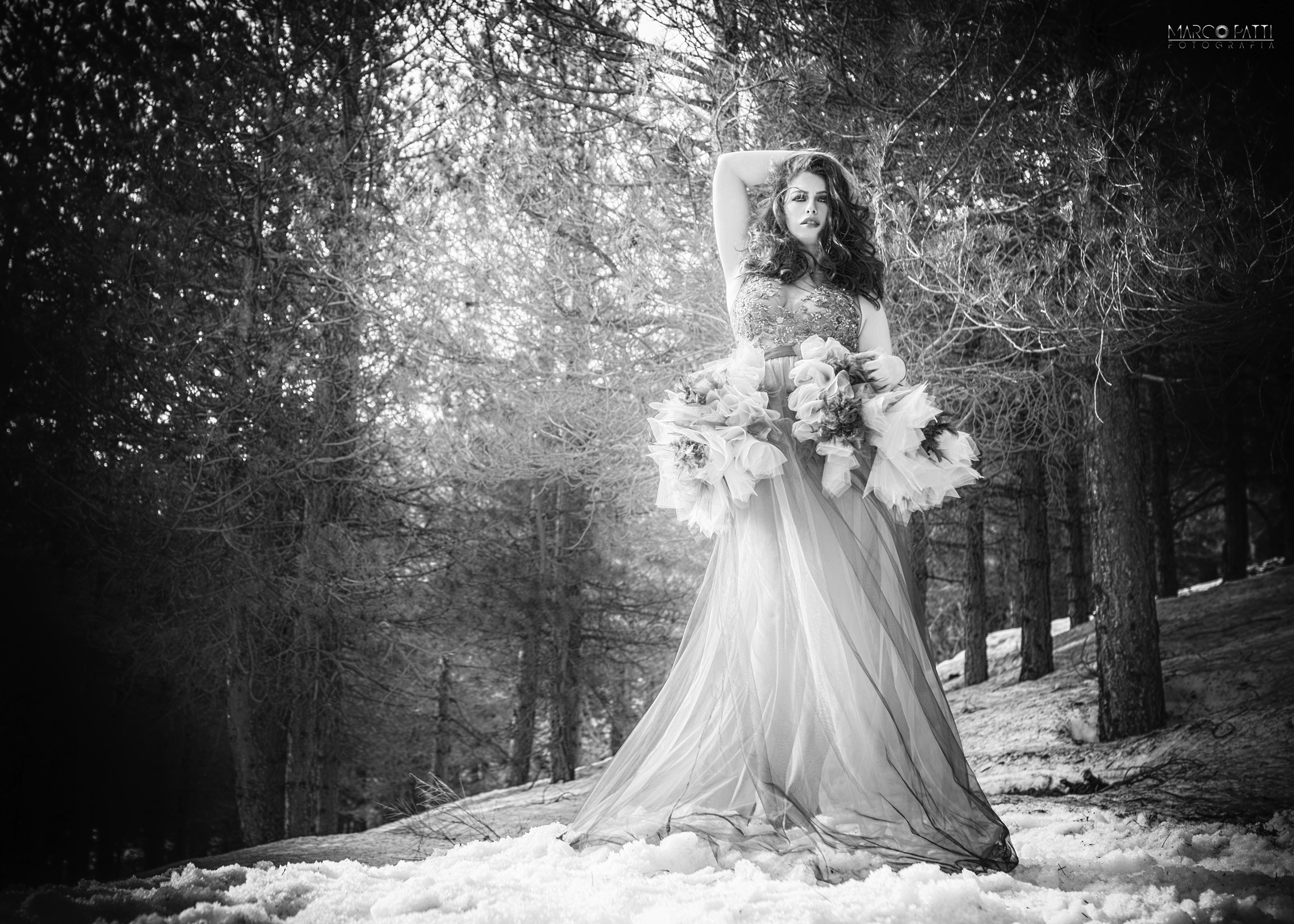 La signora delle nevi