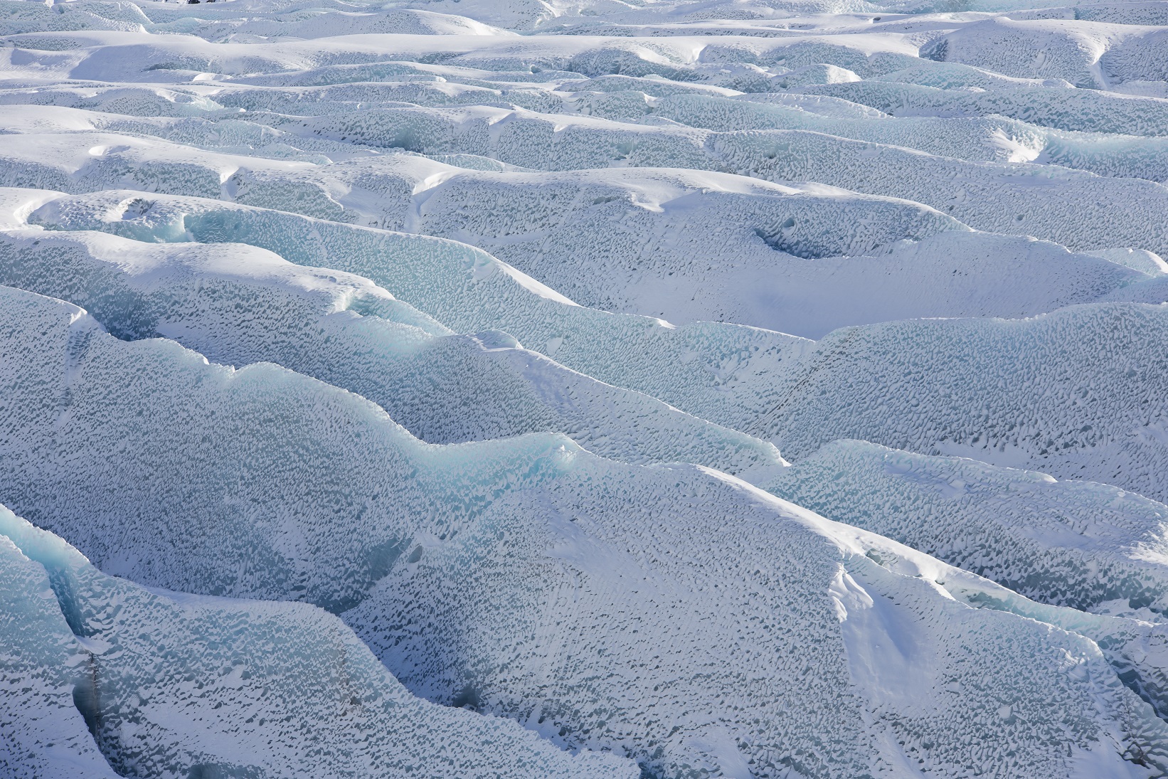 I mille volti del ghiaccio