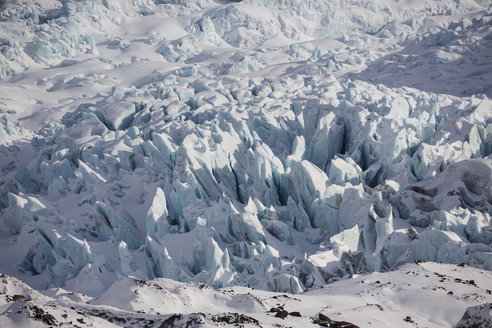 La foresta di ghiaccio
