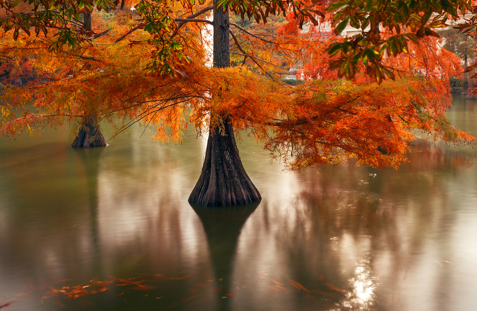 Spain-Palacio de Cristal del Retiro