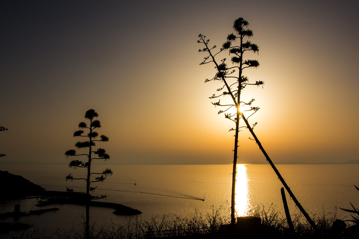 Sunset over Castelsardo