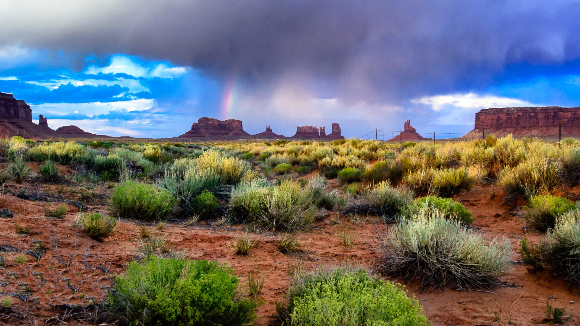 The calm after the storm