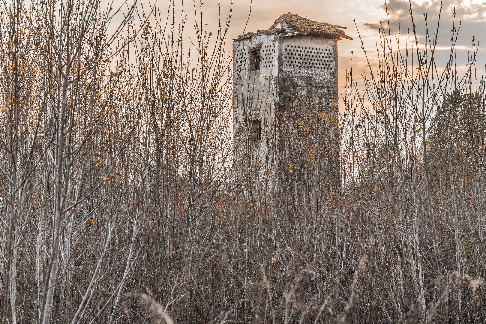 Scende la sera del dì di festa sull'antico roccol...