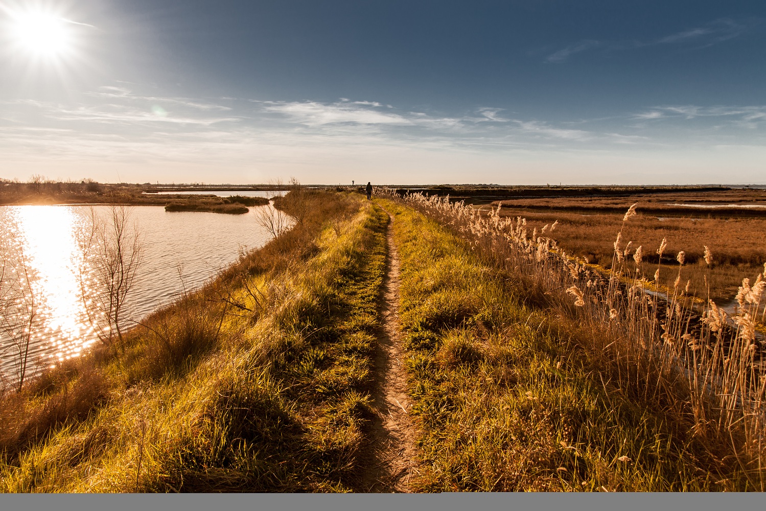 the little I | one's path