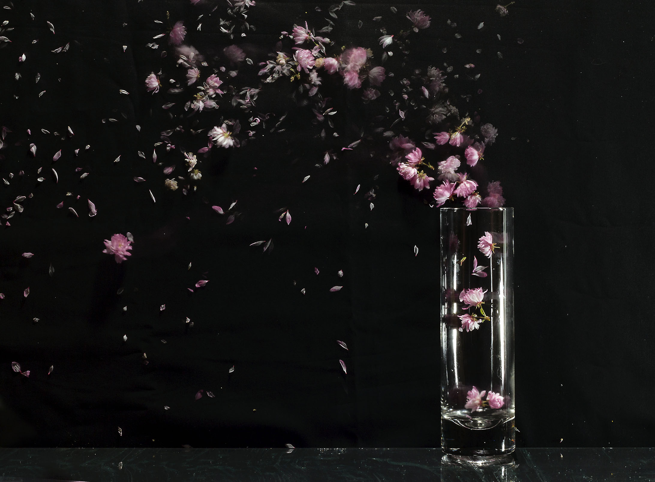 ....sinfonia di petali....