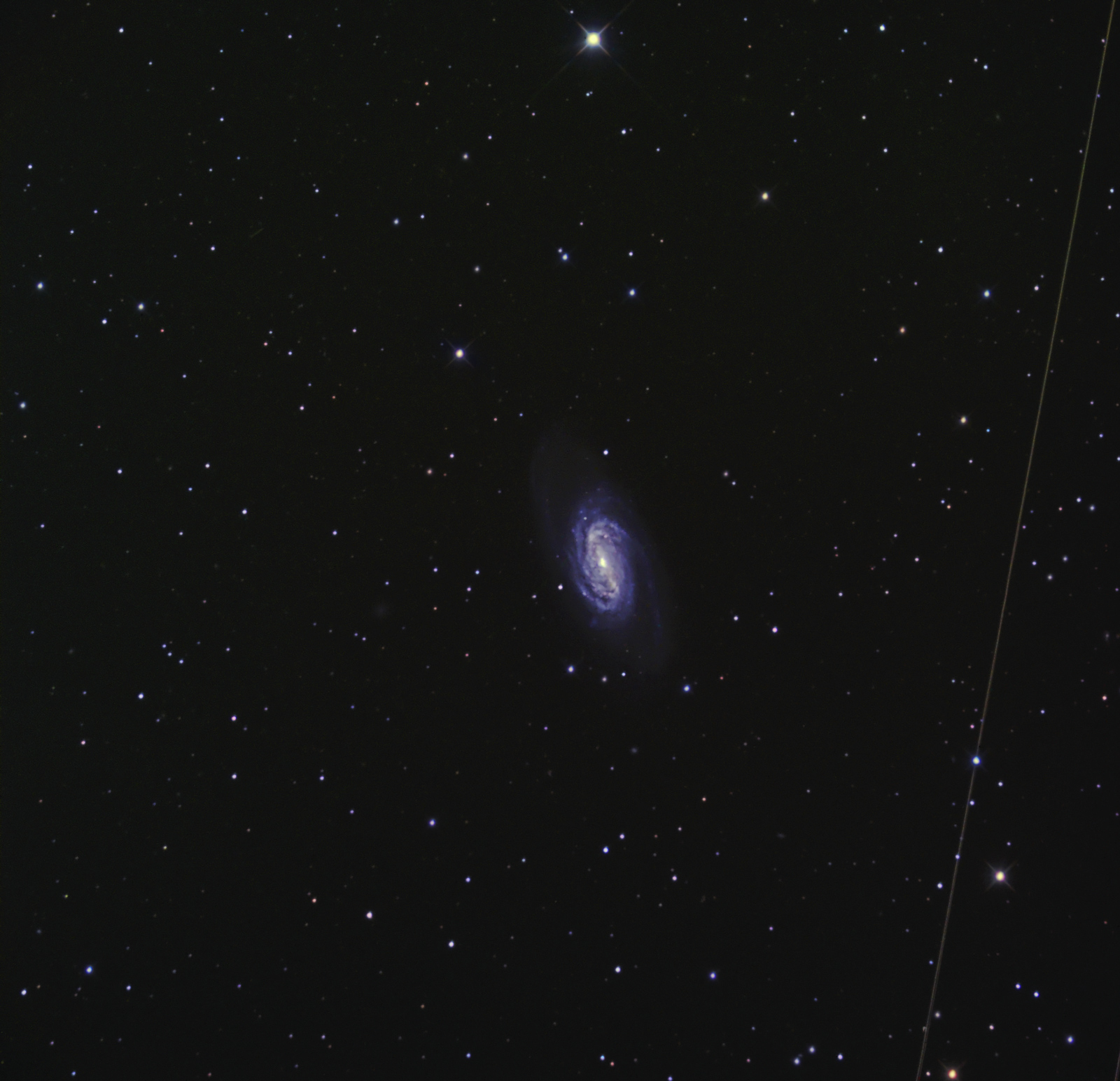 NGC 2903