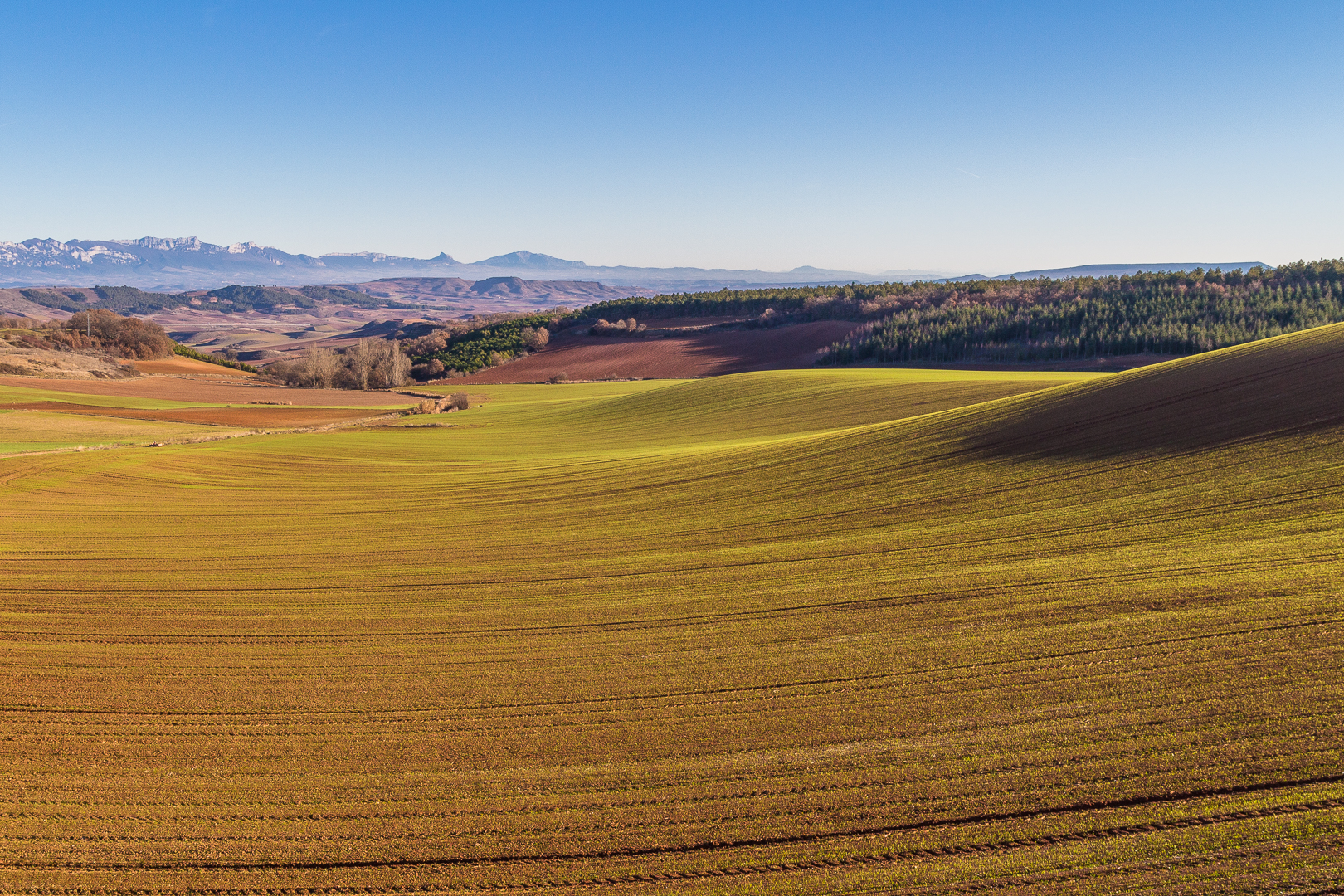 The corners of the earth