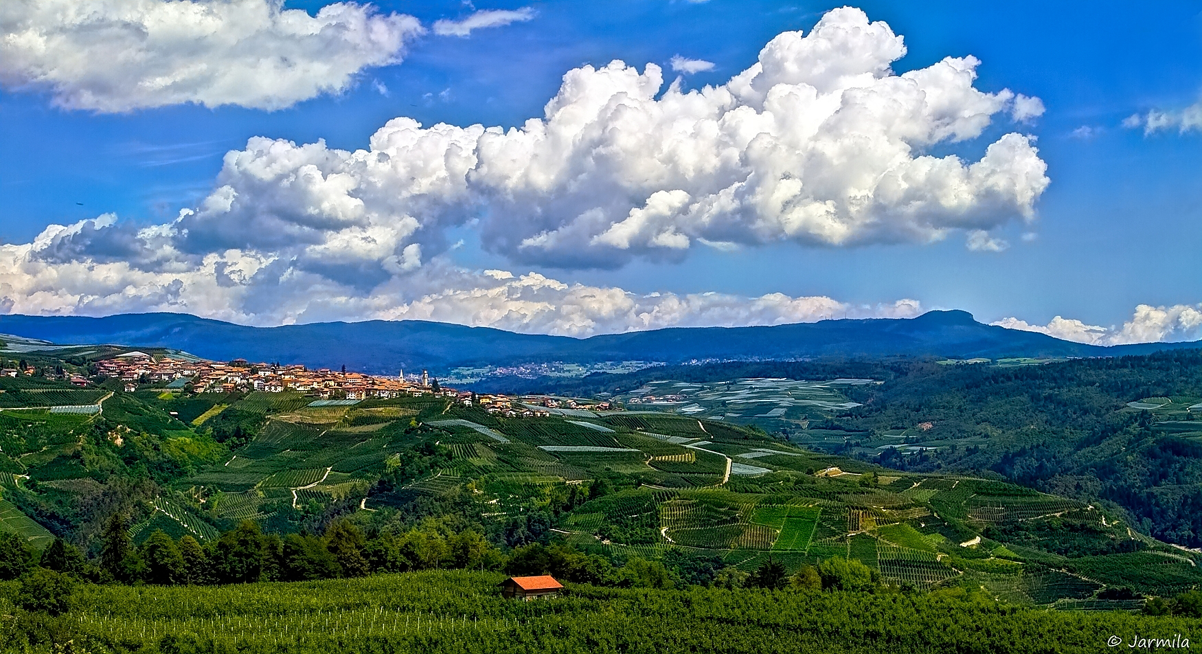 The campaign in the Trentino