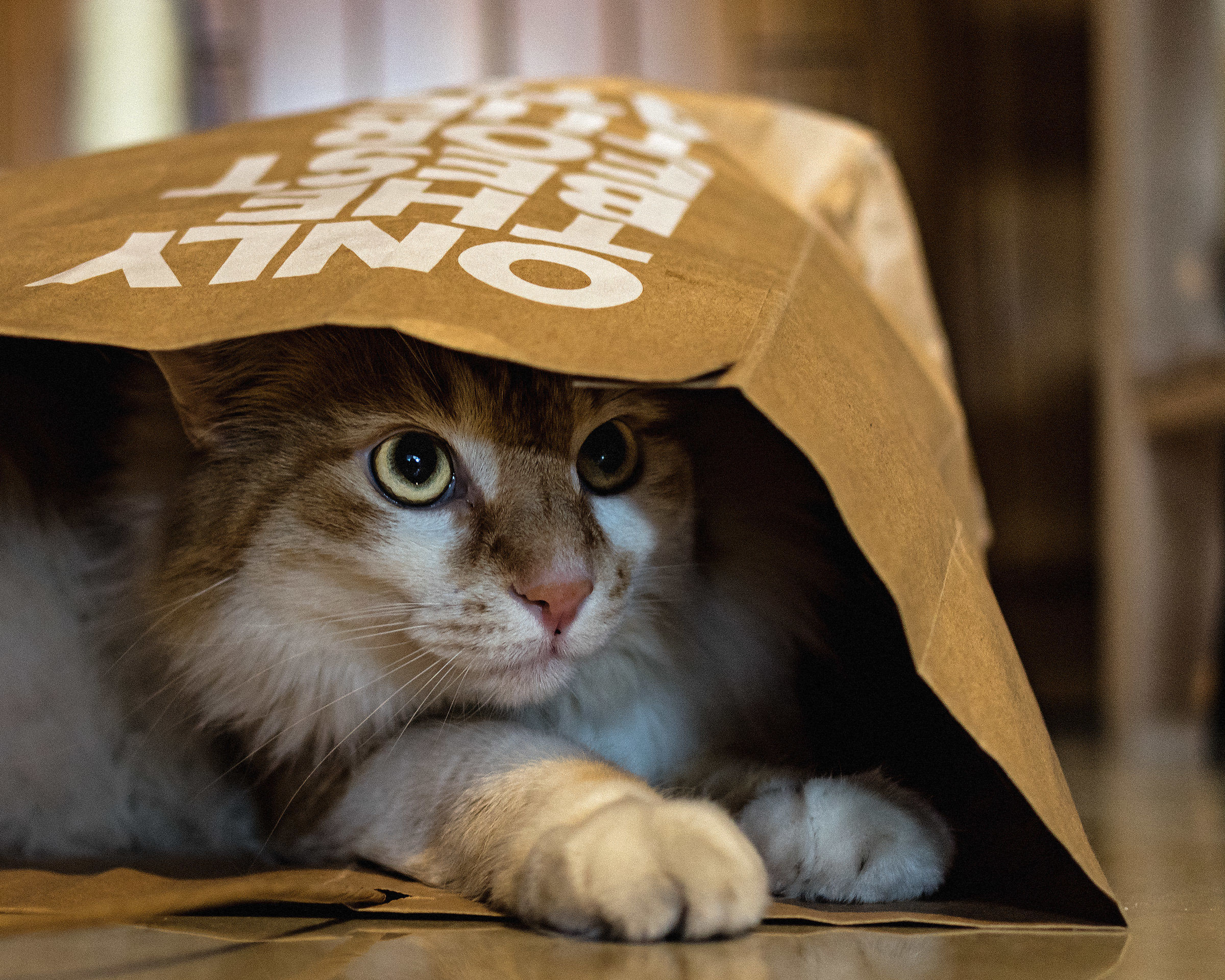 Festeggiamo 3 anni nella busta, va!