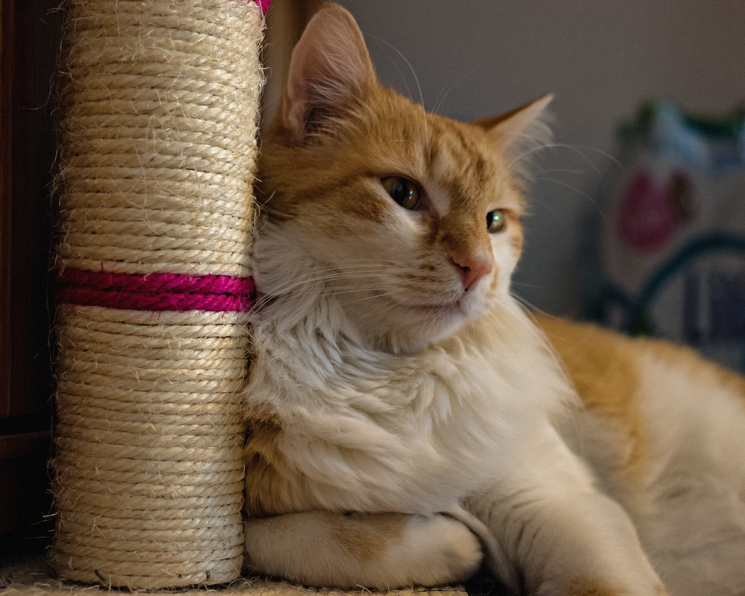 Più grande, più pensieroso