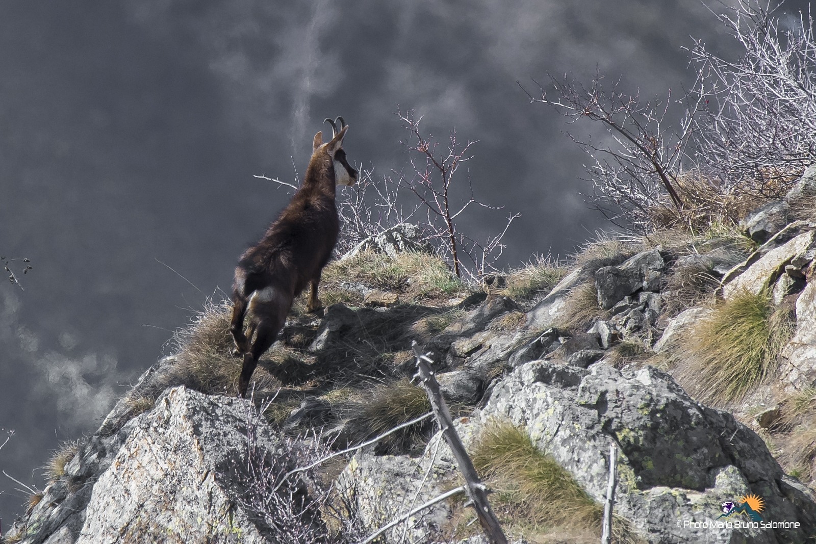 Looking at the valley.