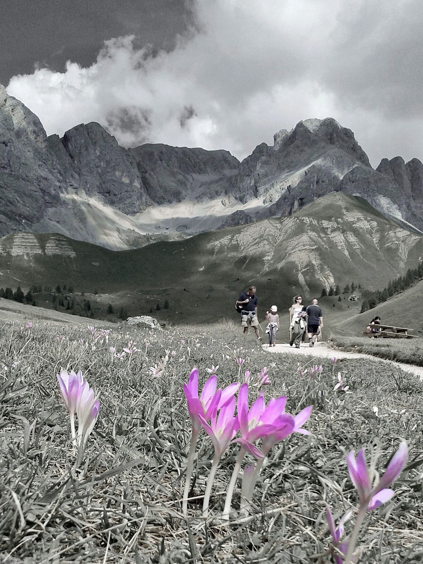 Una bellissima estate