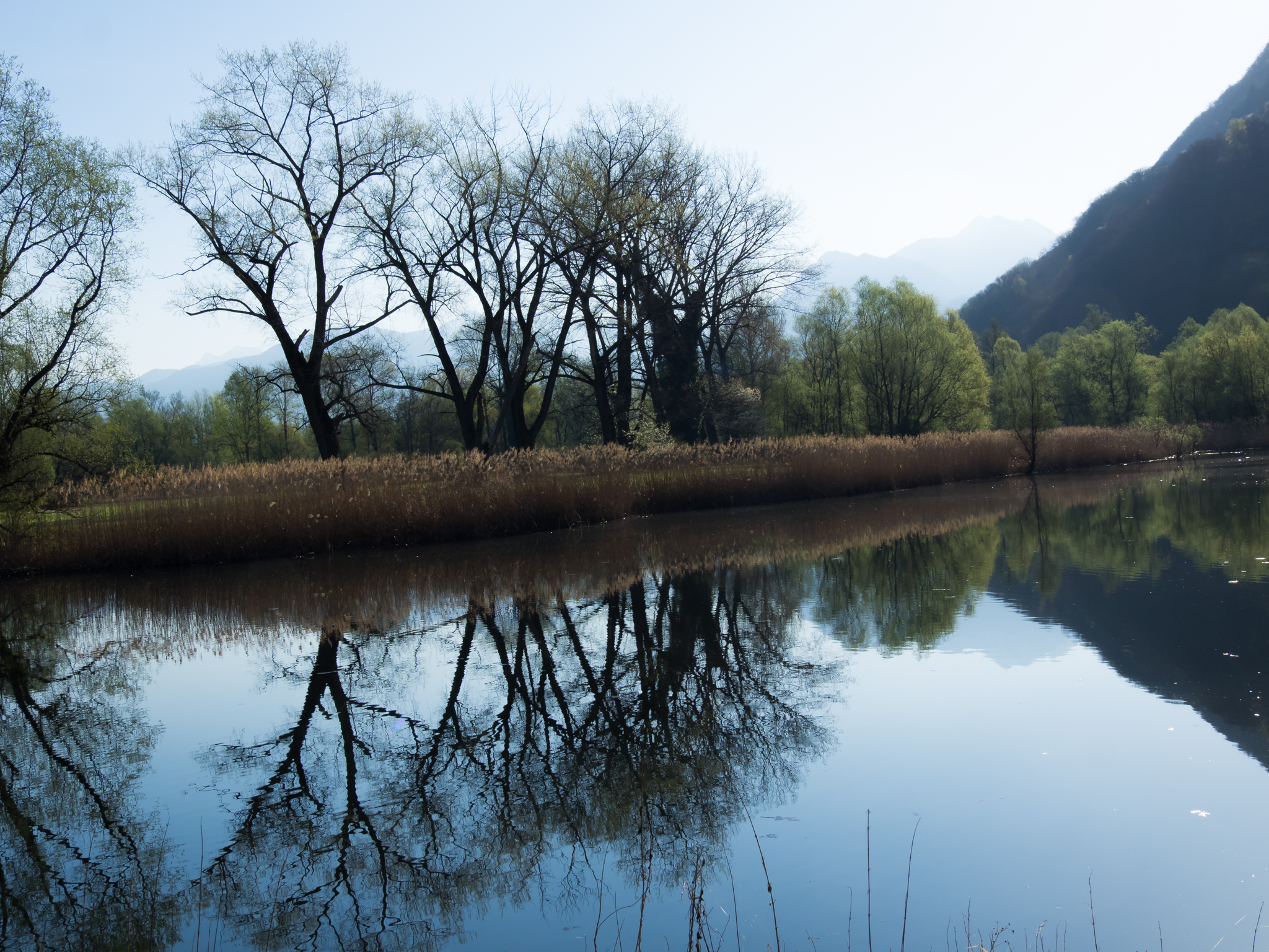bolle di Magadino Ticino CH