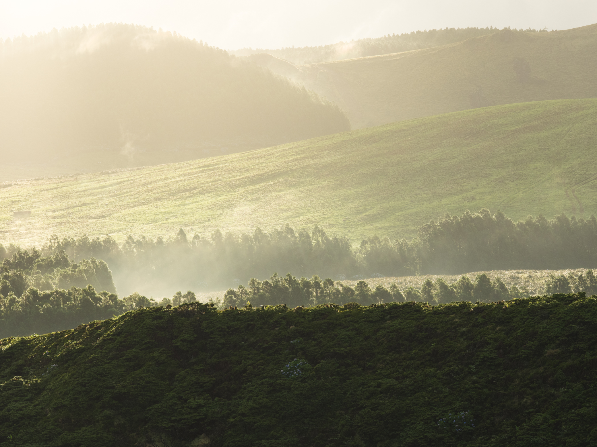 Ilha Flores Açores PT
