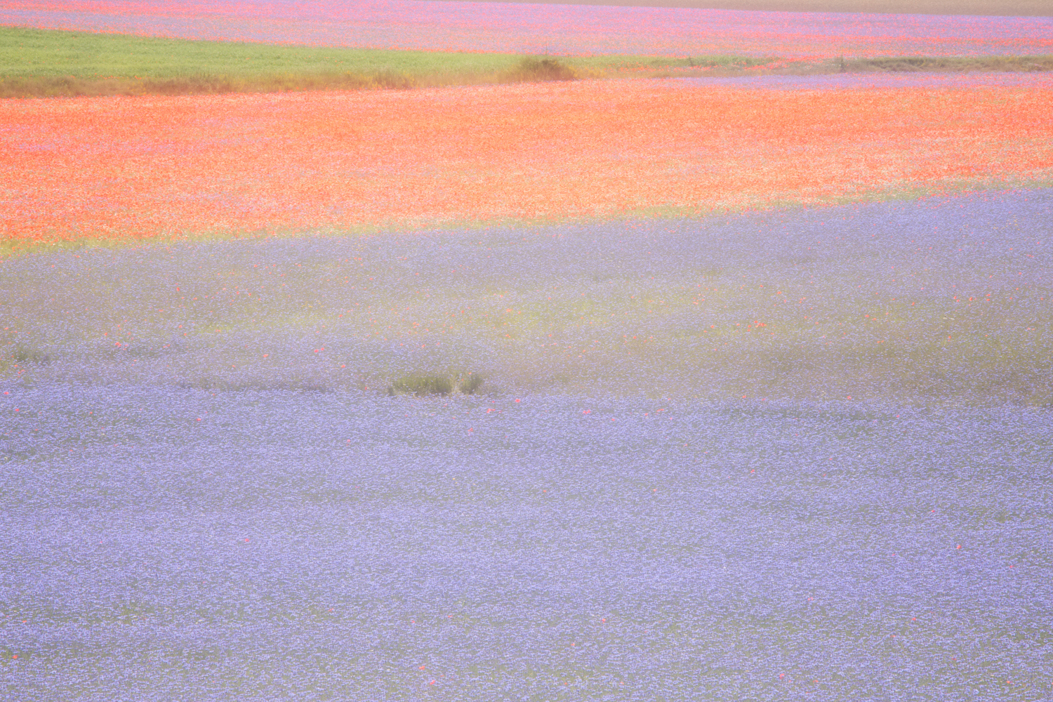 prova doppia esposizione