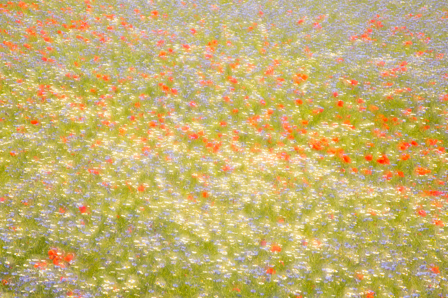 prova doppia esposizione