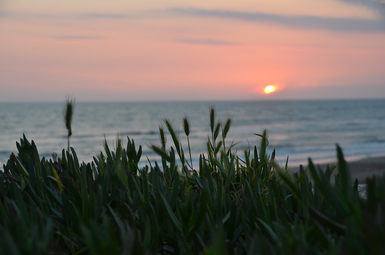 the colors of the evening