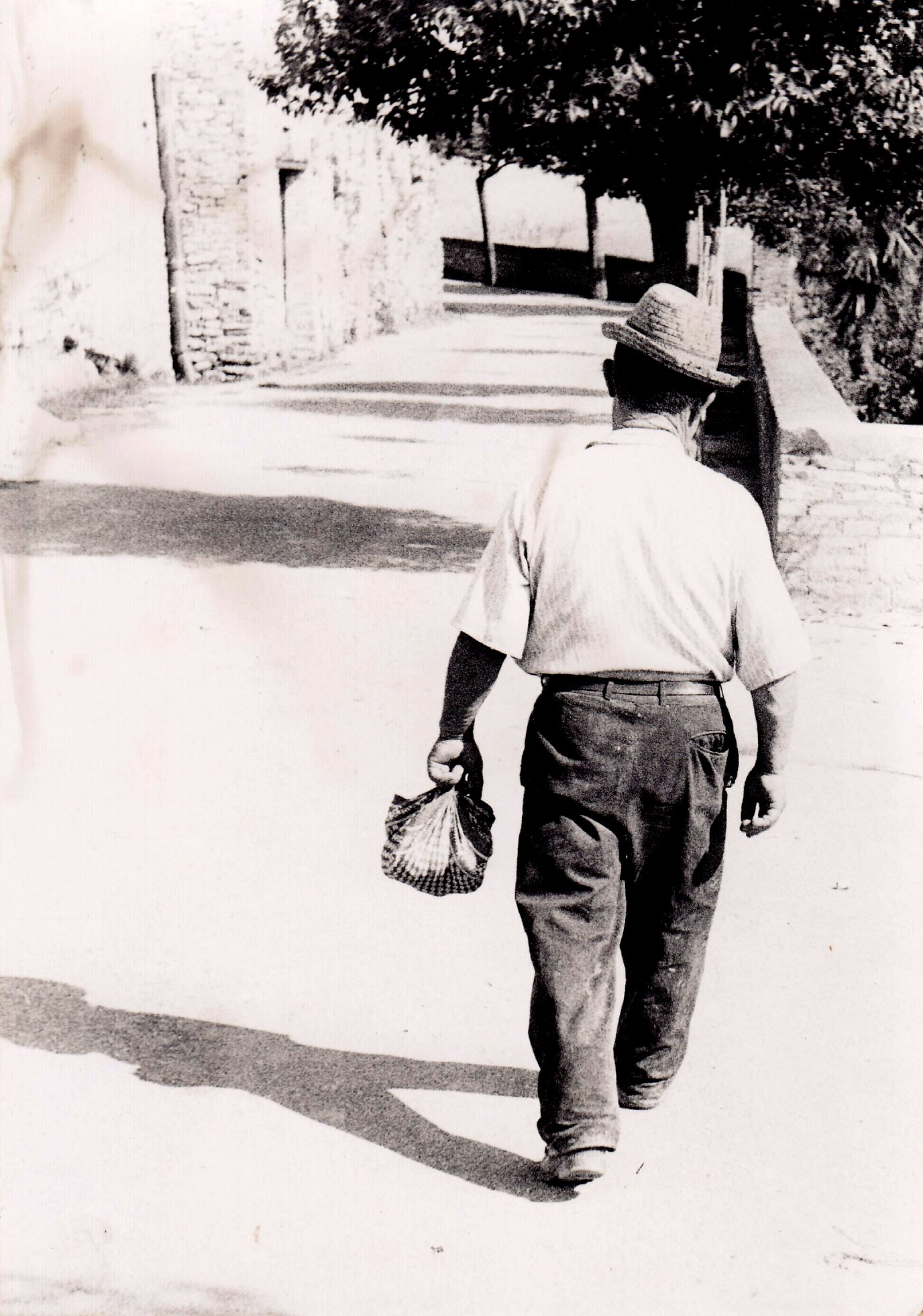 La Donzelletta che vien dalla campagna...