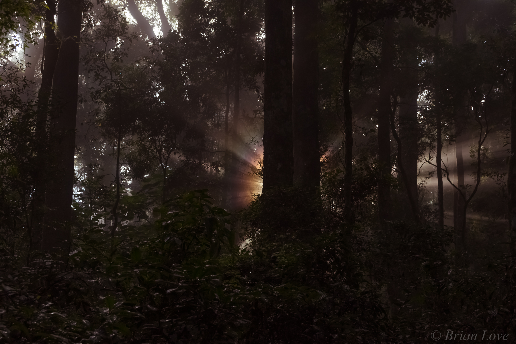 ET è atterrato a Green Mountain