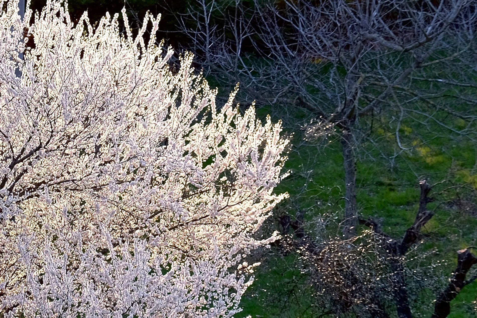 And there was light!