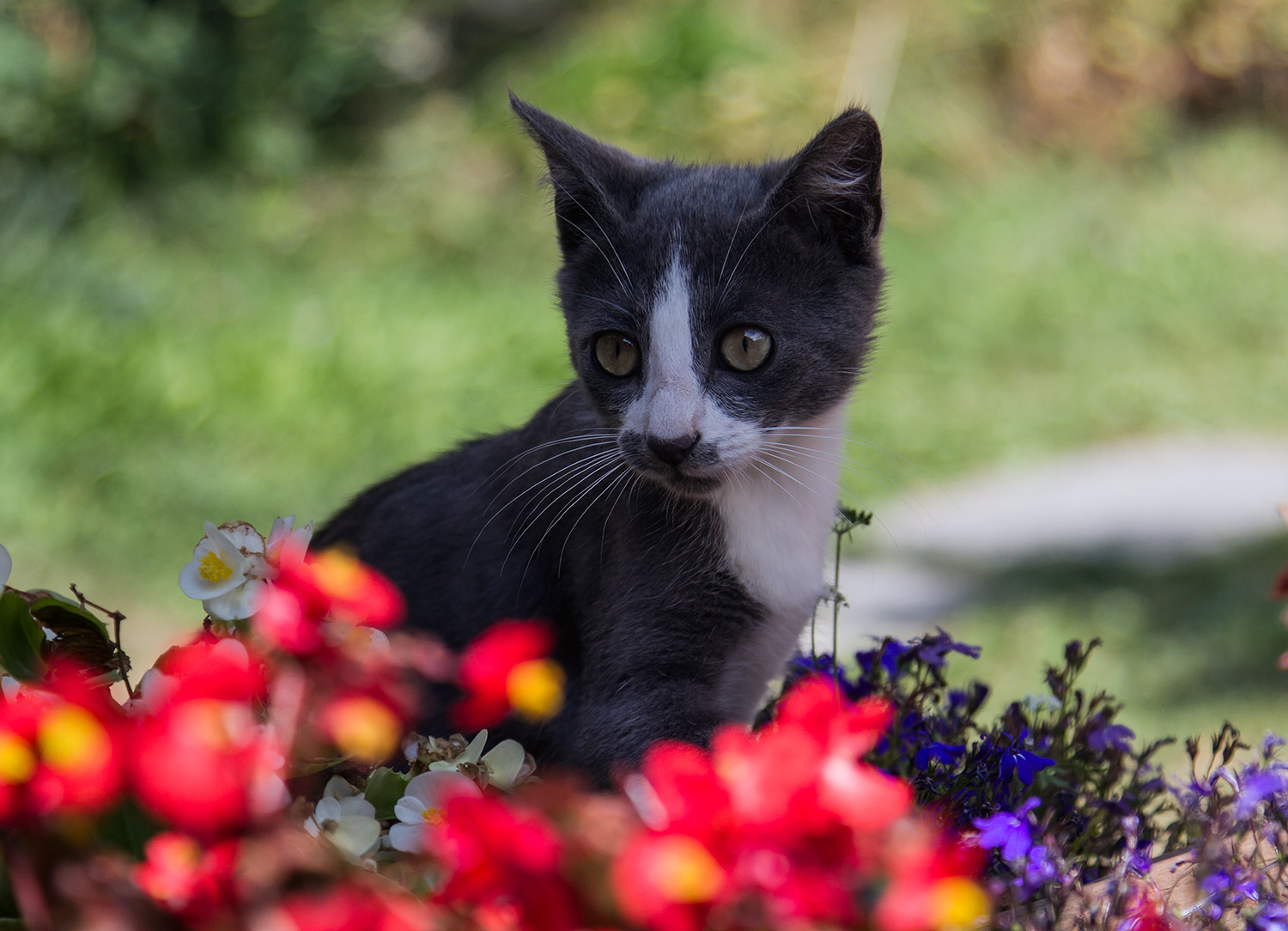 Un abitante di Usseaux