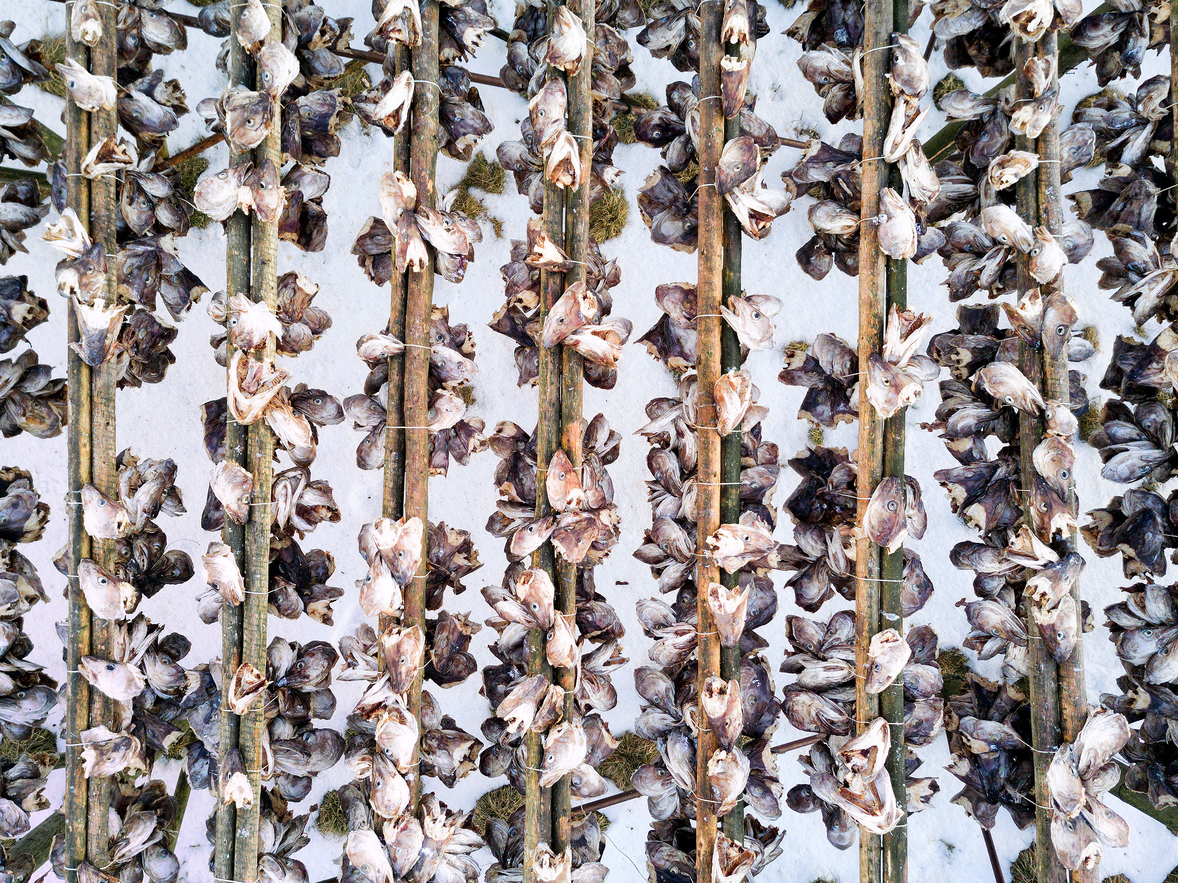 Another point of view