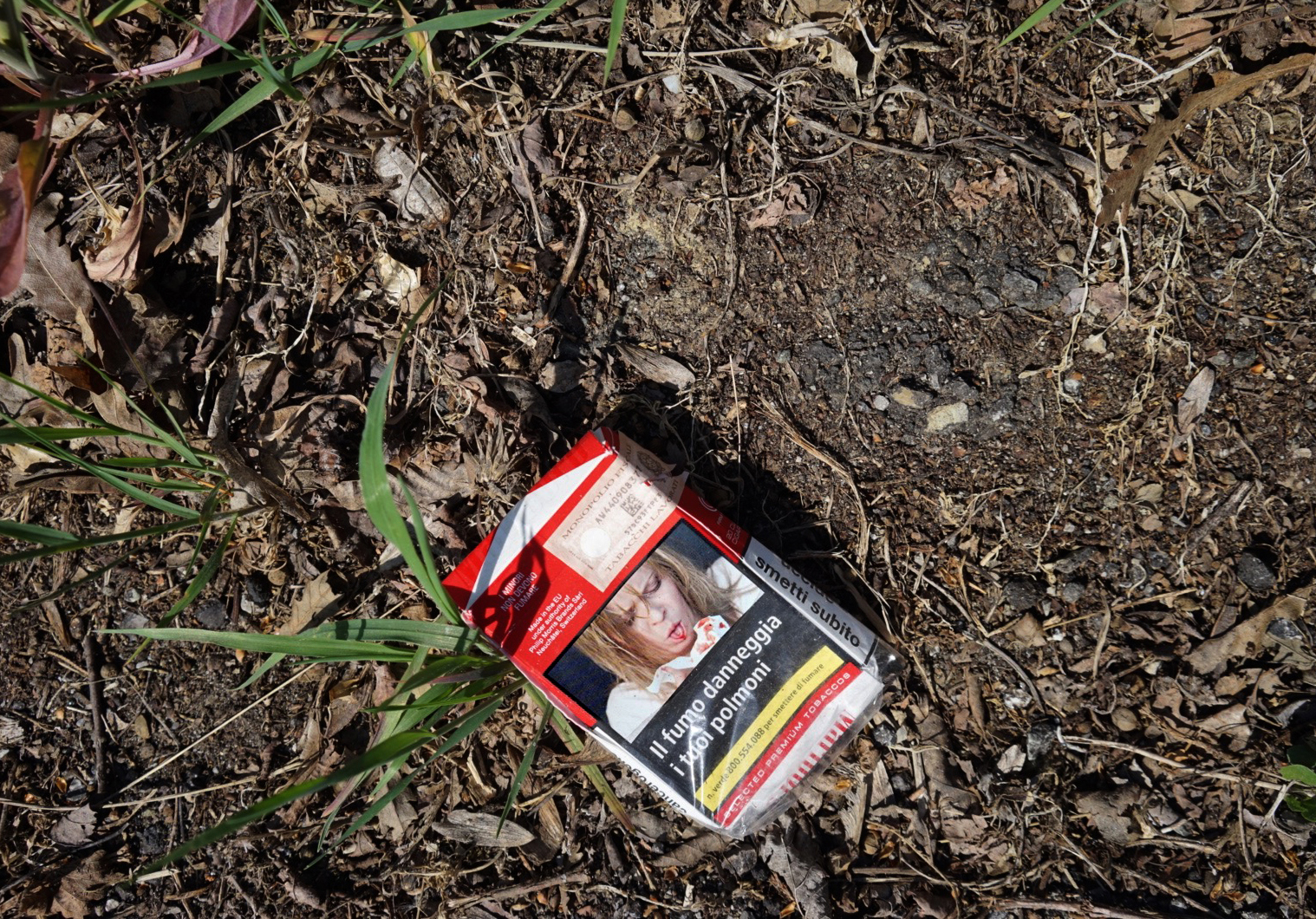 Masochismo e Monopolio