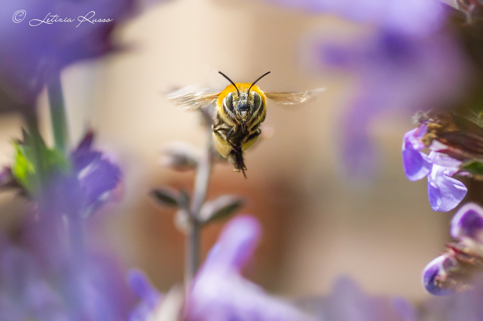 Matrix, a year later