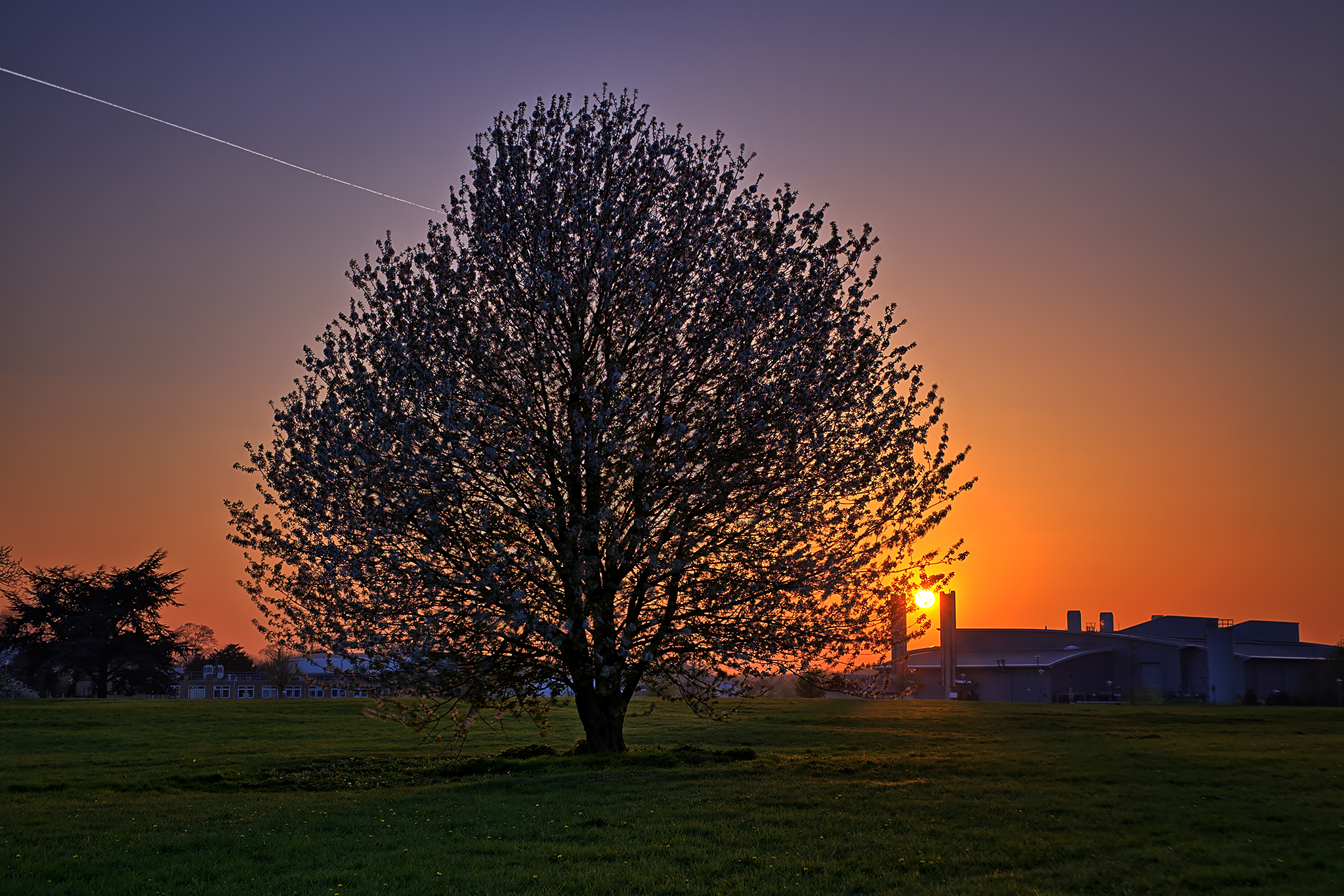 Days Turn Red to Blue