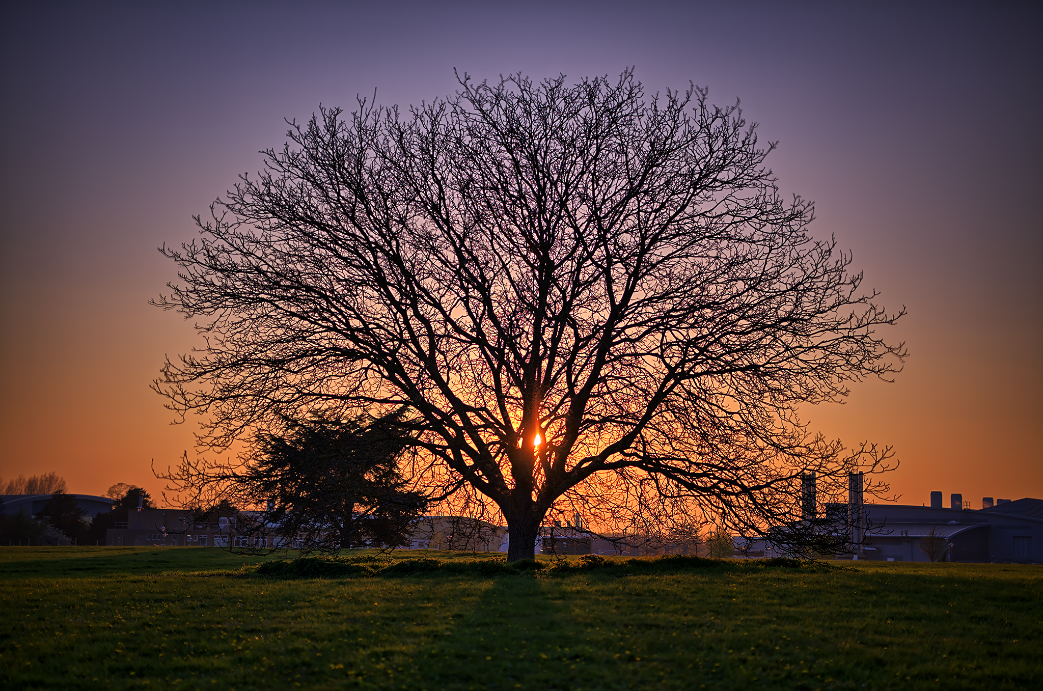 The Magic Medicine Worked