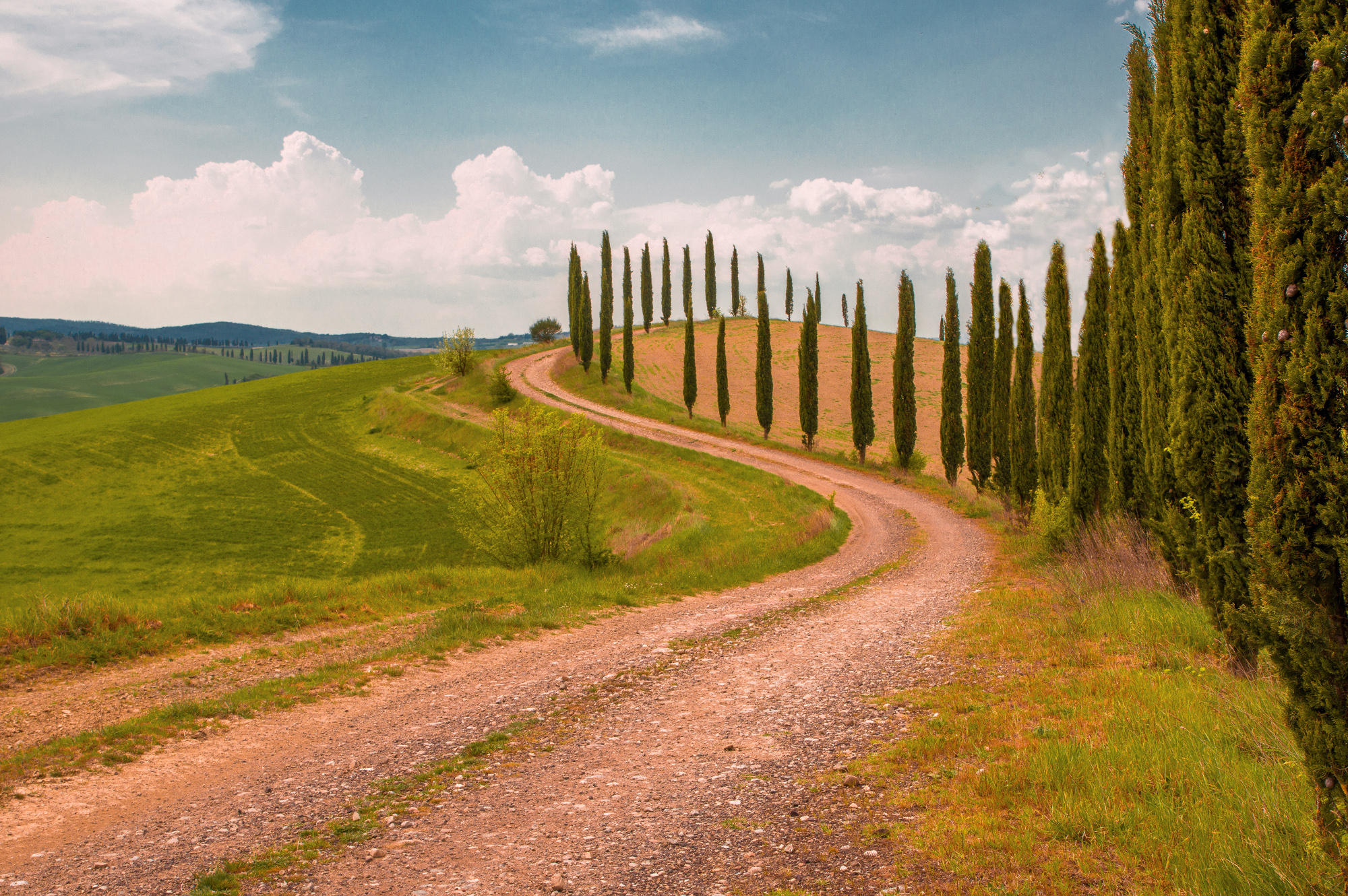 Along the Via Francigena near Torrenieri -Siena
