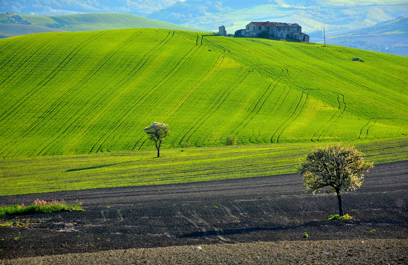 Up and Down, Up and Down, Up and ...