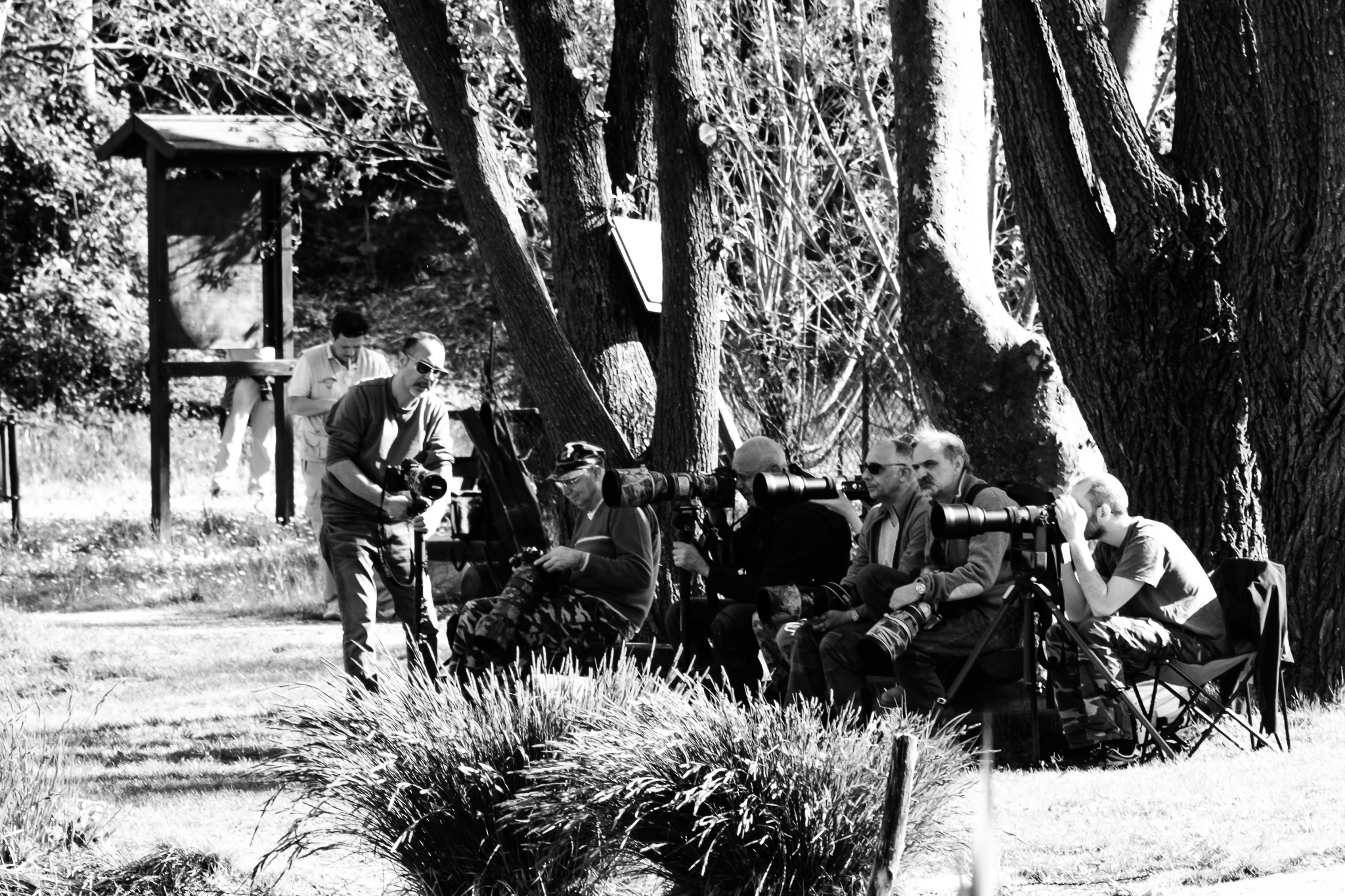 "Birdlife in progress"