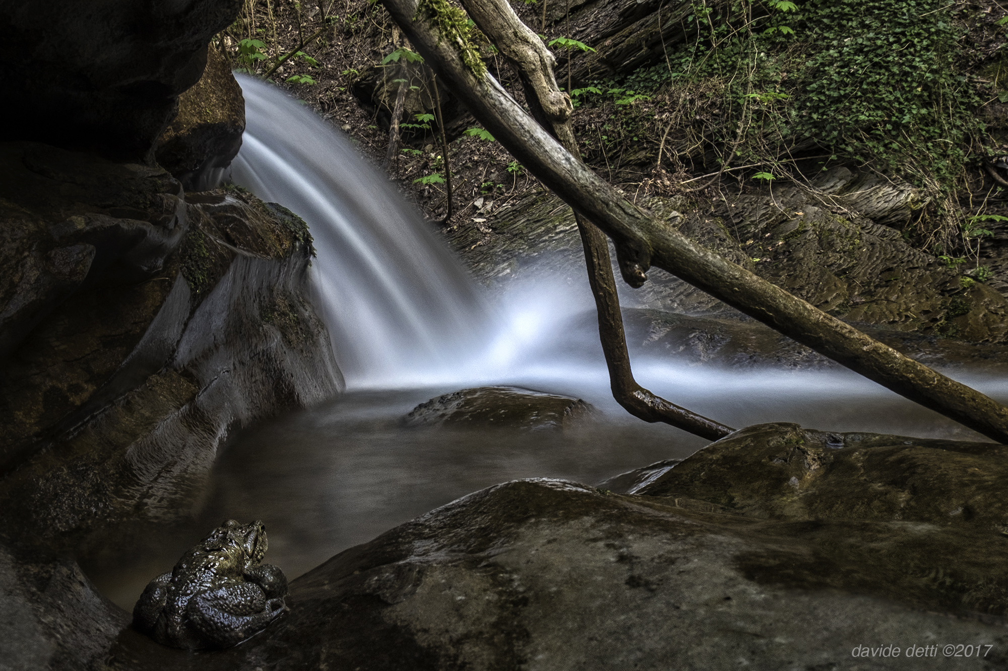 Waiting for a shower