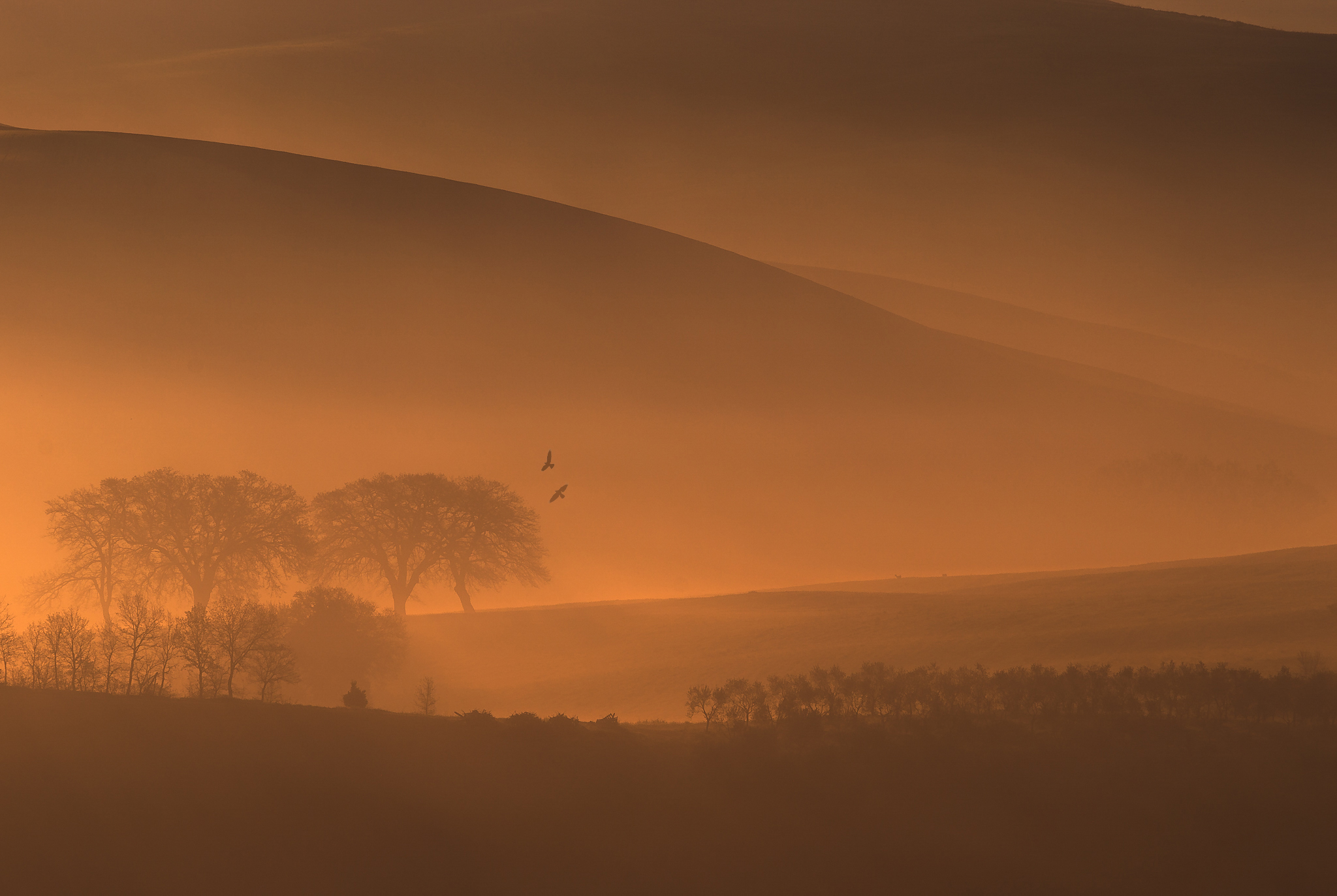 Did you see the red mist block your path?