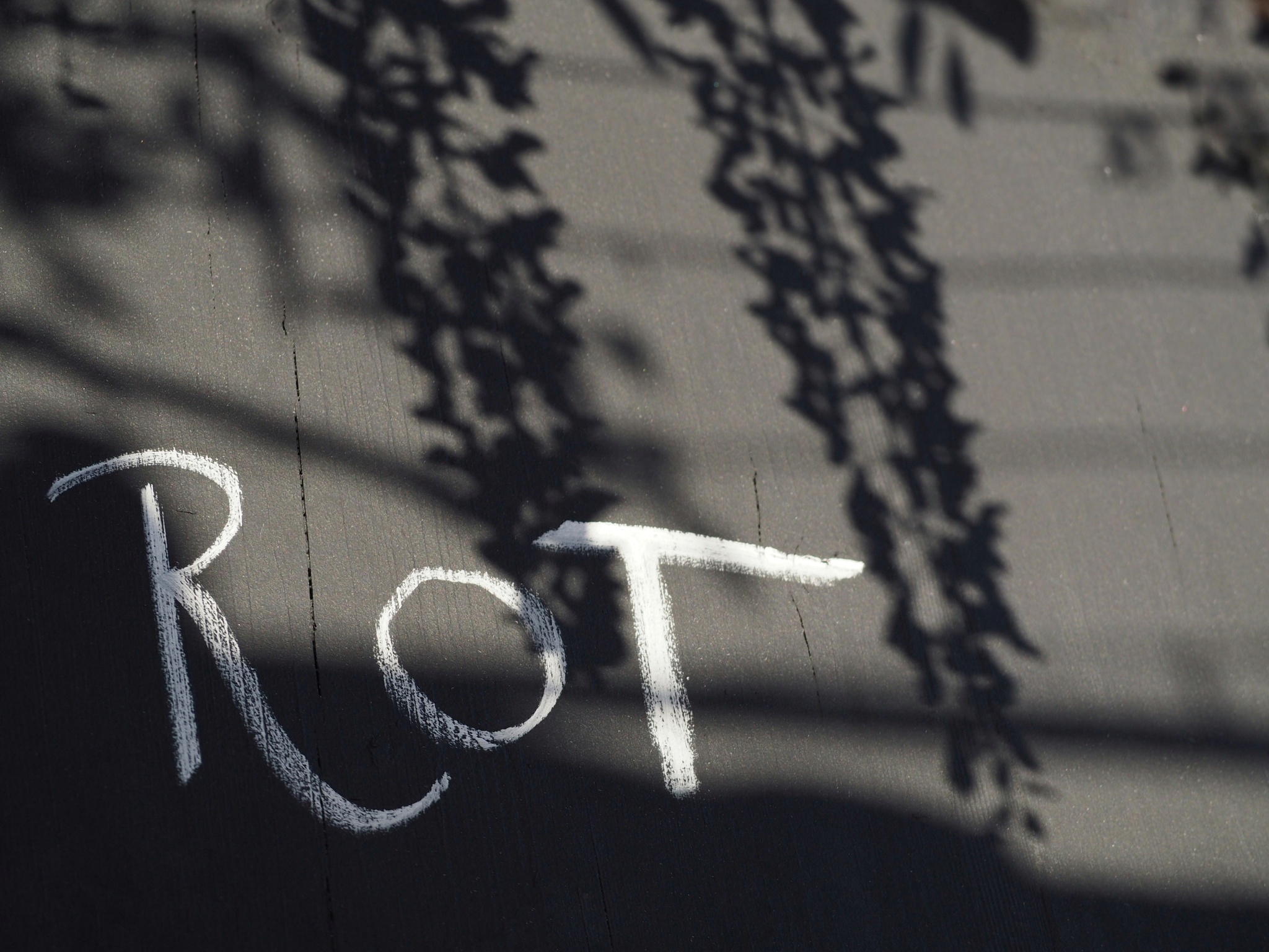 Lista vini - particolare