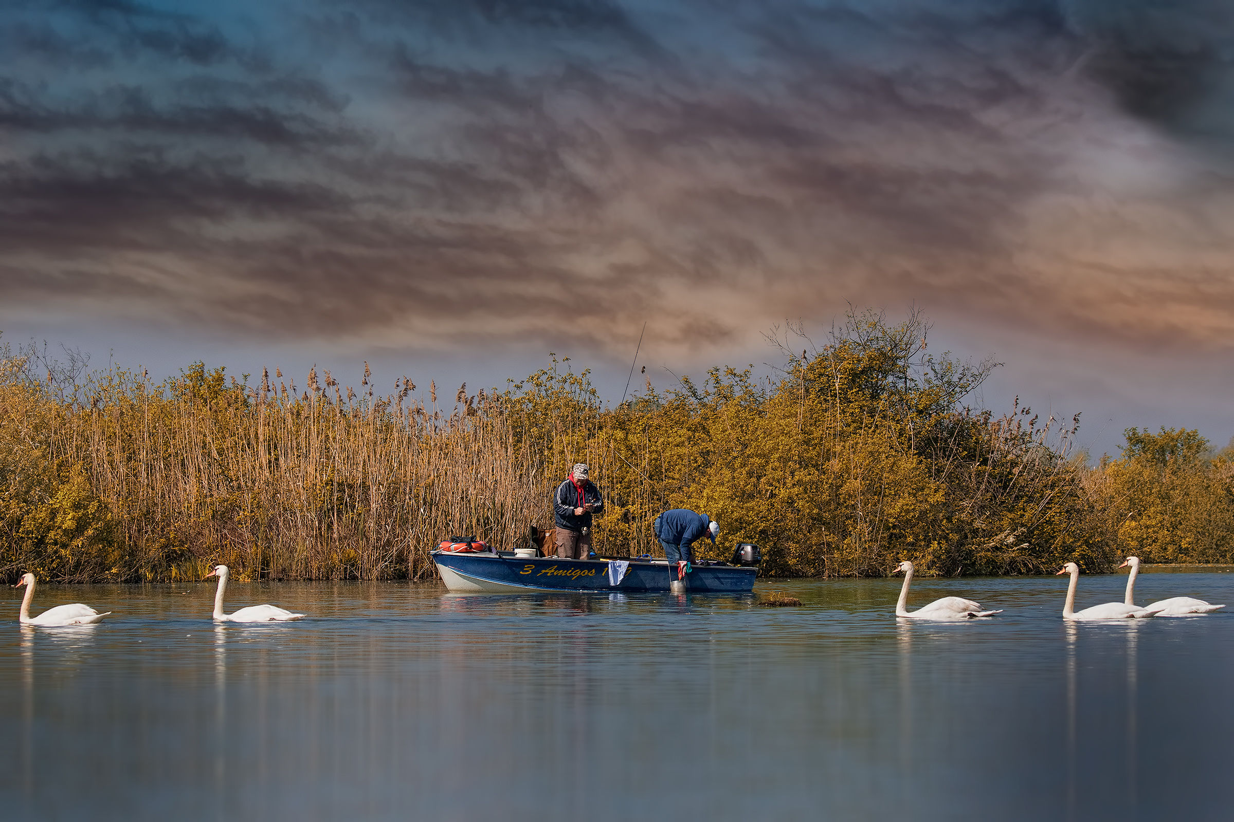 Lake Superior Mantova - Meetings 2017