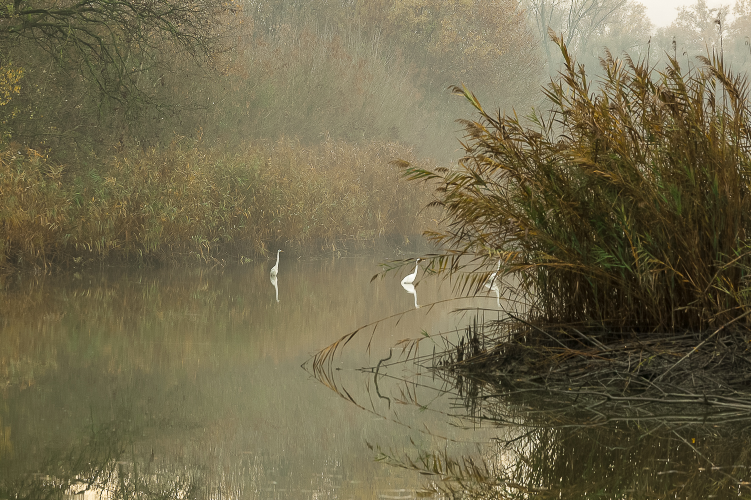 vallesanta:ultima luceautunnale
